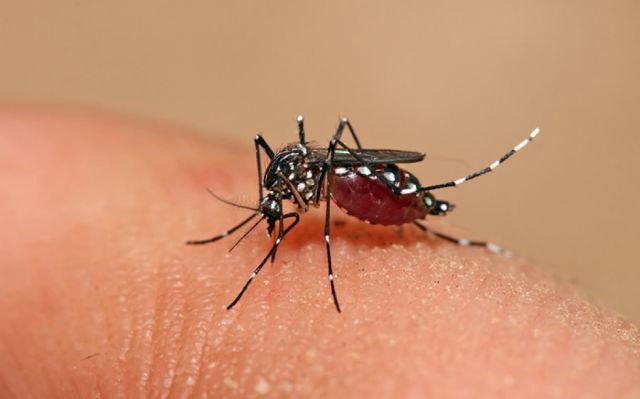 Bermejo confirma el primer caso de zika 