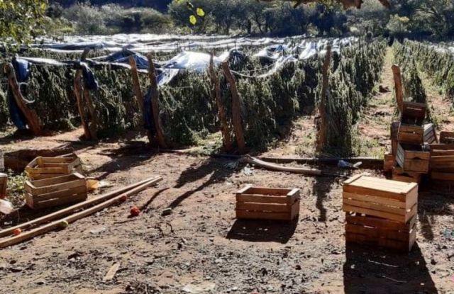 La AMT pide declarar emergencia en cinco municipios por heladas