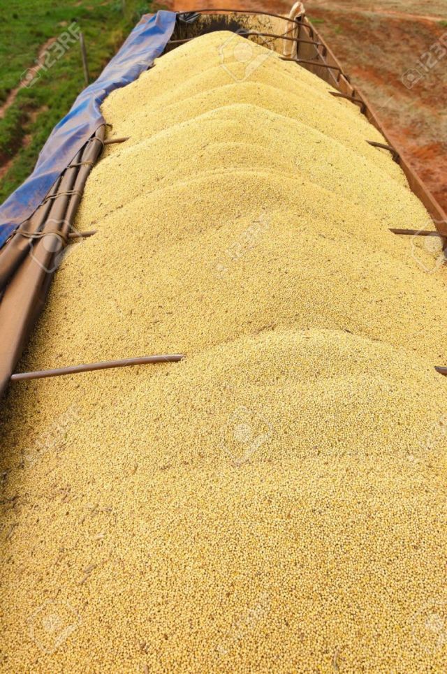 Interceptan camión de soya de contrabando en Villa Montes 