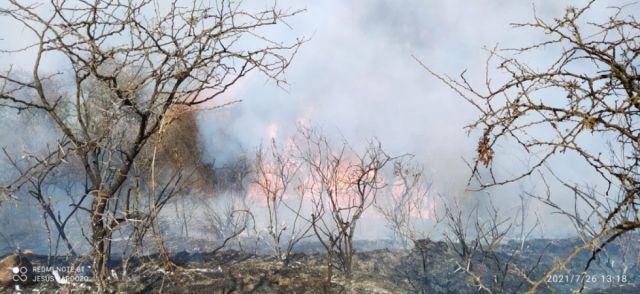 Incendio en Erquiz 