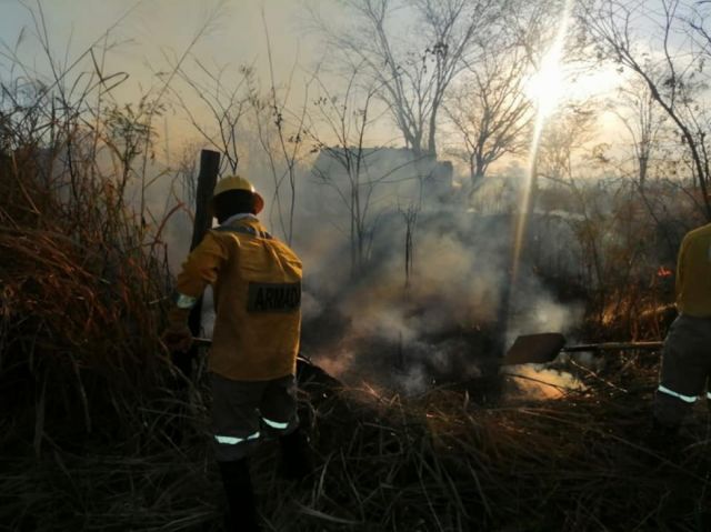 Defensa Civil reporta 13 incendios sofocados en Tarija, Beni, Pando y Cochabamba 