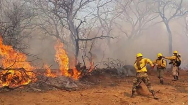 Gobierno implementa plan contra los Incendios