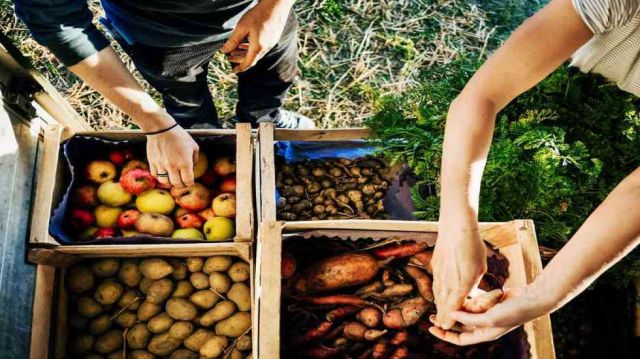  Los precios de los alimentos, en alza ante la pandemia y catástrofes naturales 