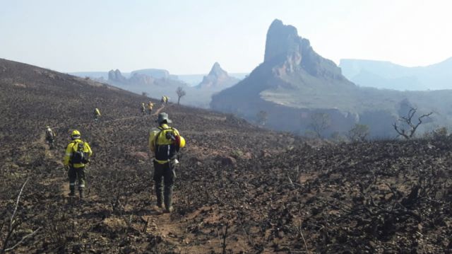 En 10 años, 58 zonas indígenas  fueron golpeadas por incendios