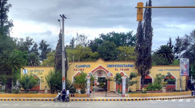 Estudiantes inician proceso penal contra docente de Derecho en Tarija