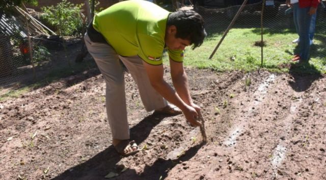 Costo del abono influirá en el precio de las hortalizas en Tarija 