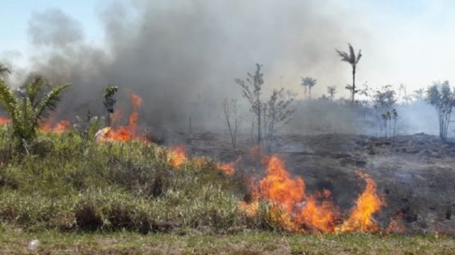 Declaran alerta roja por incendios en Trinidad