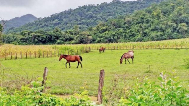 Desde Bermejo demandan no descartar explorar Astillero en Tarija