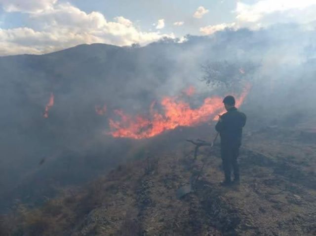 Ayer se registraron incendios  forestales en Rosillas y El Valle 