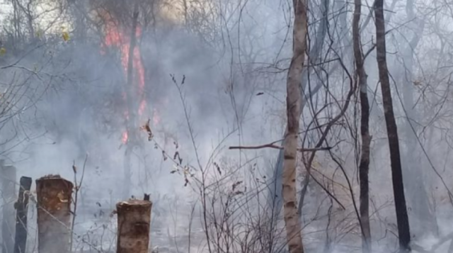 ABT: 36 mil hectáreas fueron afectadas por incendios en Santa Cruz