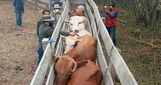 Gobernación entregó vitaminas y desparasitantes a ganaderos de Caraparí