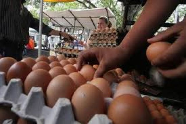 Emergencia por ingreso de contrabando de huevo y productos cárnicos a Tarija
