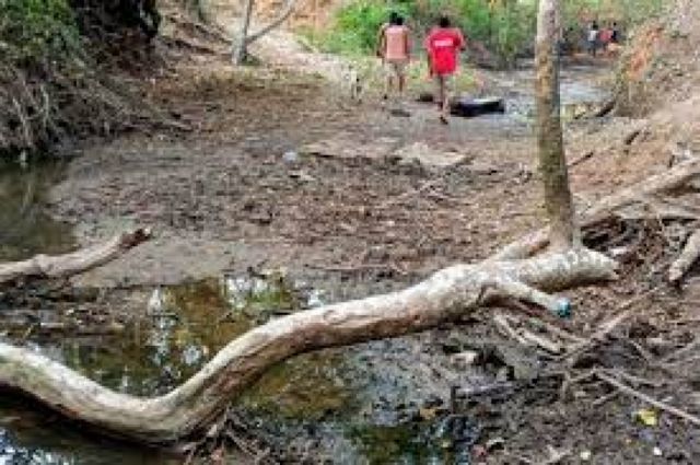 Enviarán 200 policías para coadyuvar tareas de control de incendios en Chiquitania