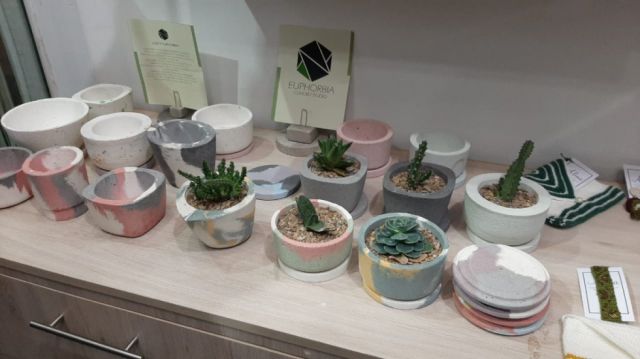 Macetas de Euphorbia.