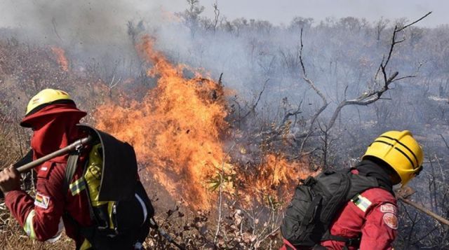 La ABT tiene  72 horas para dar informe de los incendios