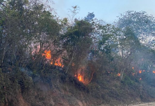 Áreas quemadas en bosques suman más de 24 mil ha