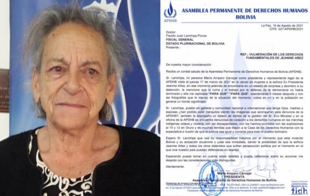Piden que Áñez se defienda en libertad