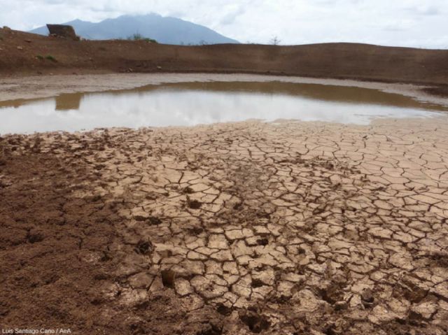 Calentamiento global afectará con fuerza a América Latina