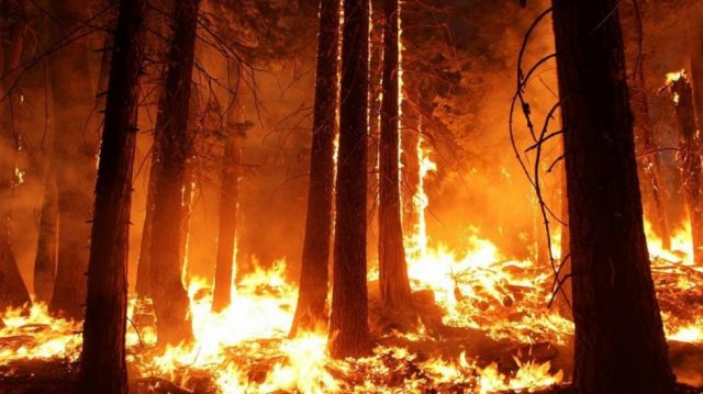 Incendios en Santa Cruz afectan 280.419 hectáreas y nueve municipios están en emergencia