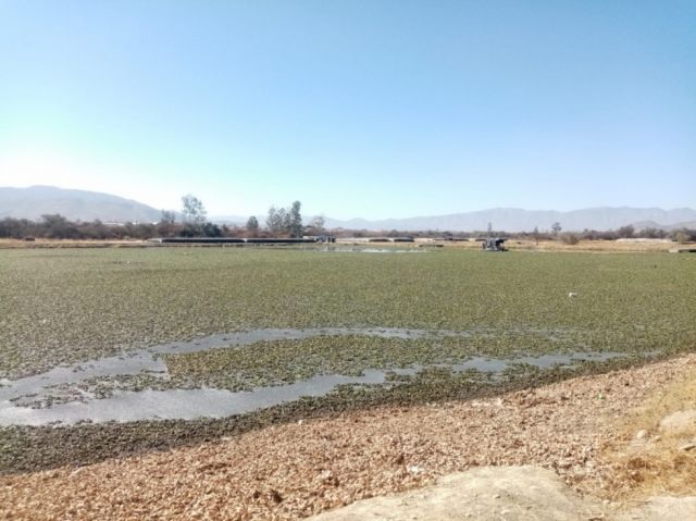 Cívicos y la Alcaldía piden al Gobierno cumplir con la PTAR