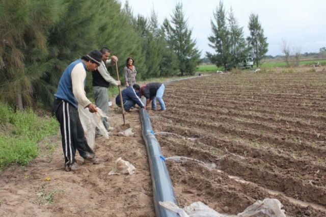 Campesinos prevén congresos para unificar la inversión en el agro