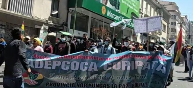 Adepcoca de Armin Lluta reactiva protestas