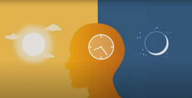 ¿No seguir el ciclo día-noche natural puede promover el Mal de Alzheimer?