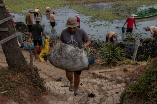 Bioparque de Tarija recibirá a 20 primates afectados por incendios forestales de Santa Cruz 