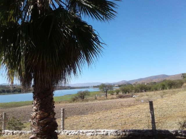 Palmeras en el lago San Jacinto  