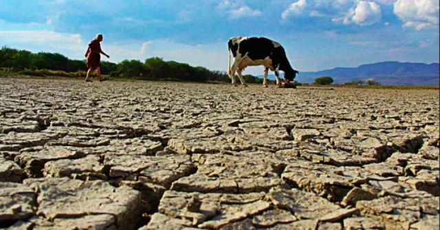 Chile: emergencia agrícola por fuerte sequía