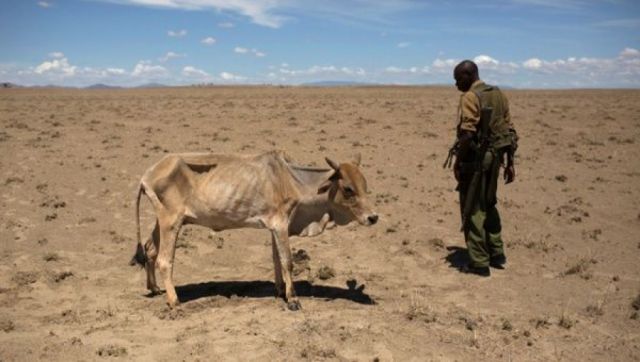 Declaran en Kenya estado de emergencia por sequía