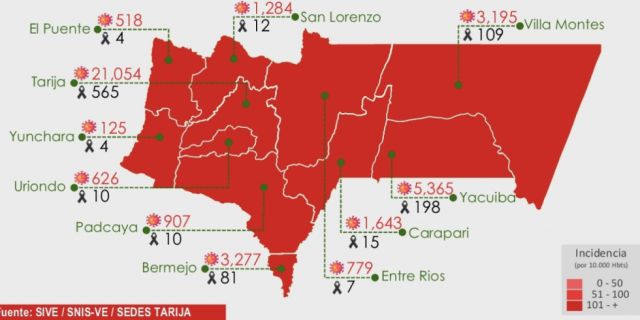 Tarija registró 15 nuevos casos de Covid-19 el sábado 