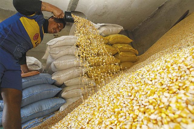 El RUNPA ya tiene bajo registro a  más de 130 productores en Tarija