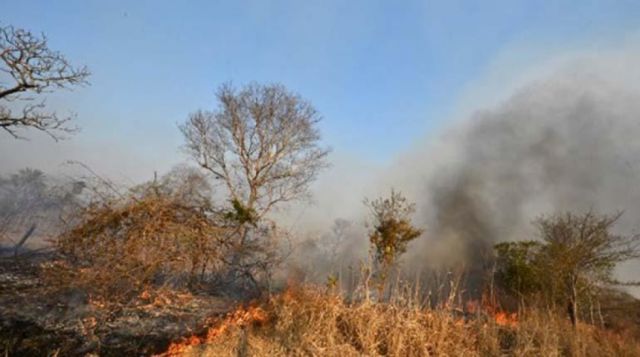 Incendios en Santa Cruz consumieron 1.212.778 ha