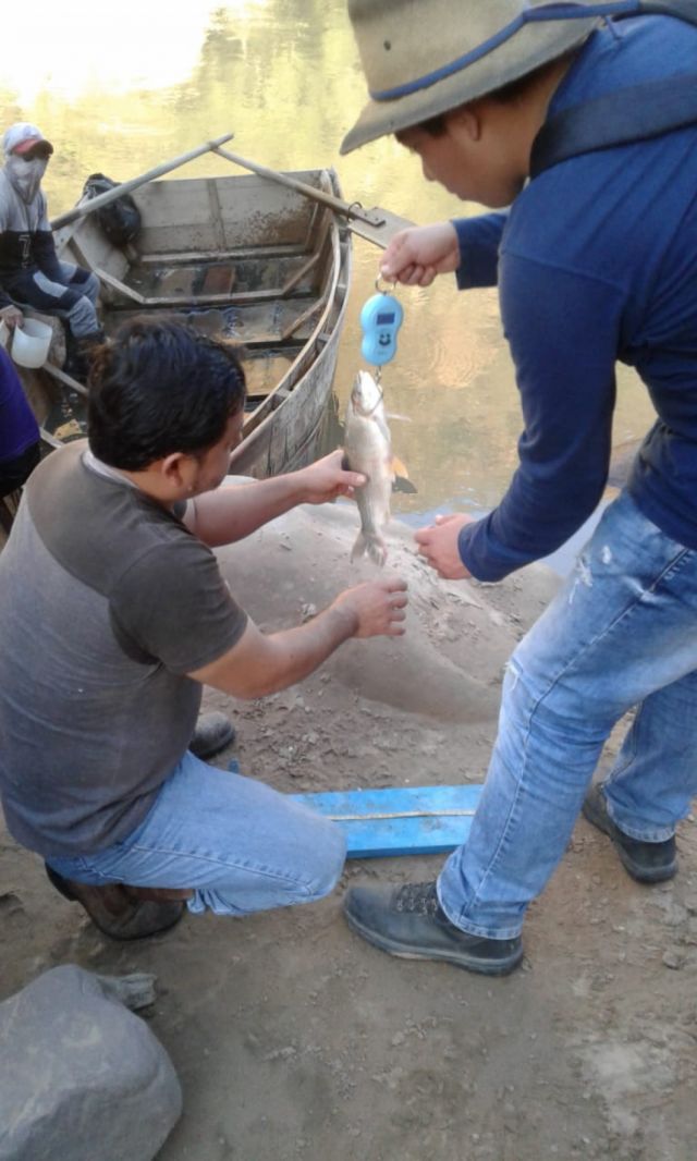Codefauna solicitó la veda  general del río Pilcomayo