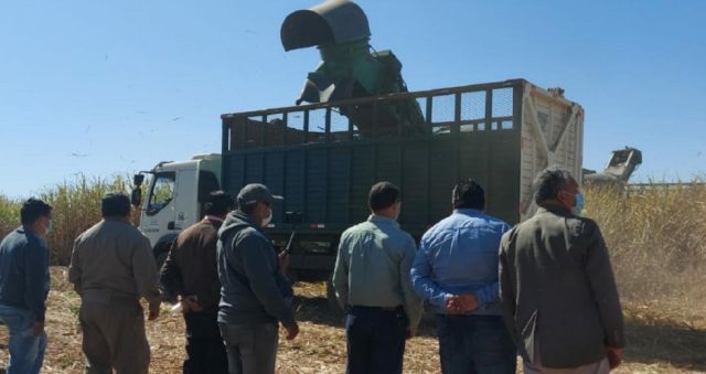 IABSA paraliza la molienda por falta de caña en Bermejo 