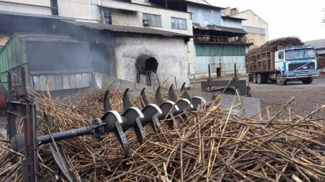 Cañeros alistan cierre de la zafra, entregaron 230 mil toneladas a Iabsa