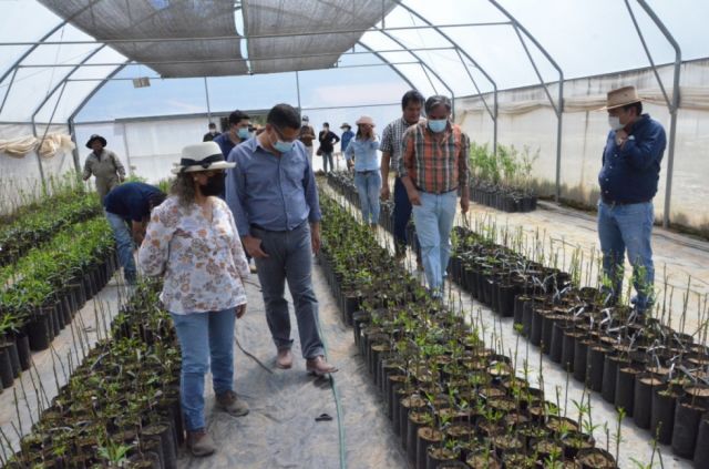 Sedag apunta a ser proveedor del sector productivo de Tarija