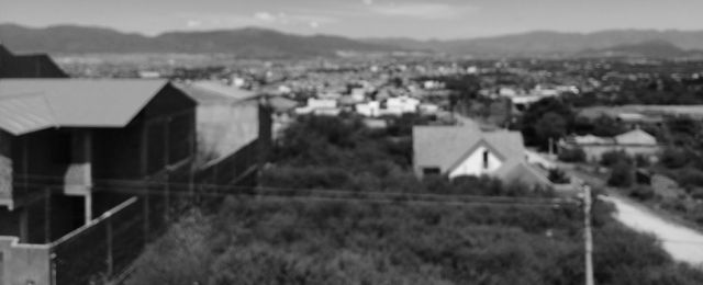Tarija