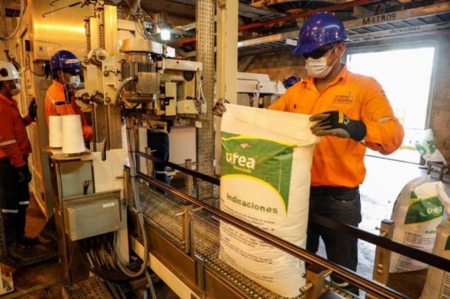 Venta de urea en el mercado local supera los $us 3 millones en diez días