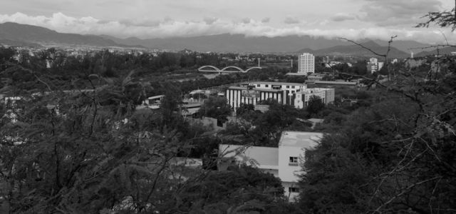 Tarija