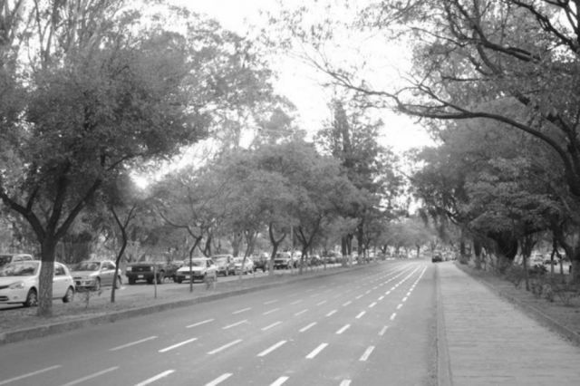 Discotecas de Tarija se llenan, autoridades realizan desalojos