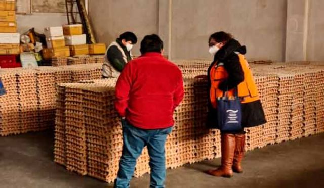 Comisan 6.000 unidades de huevo por riesgo sanitario en Tarija