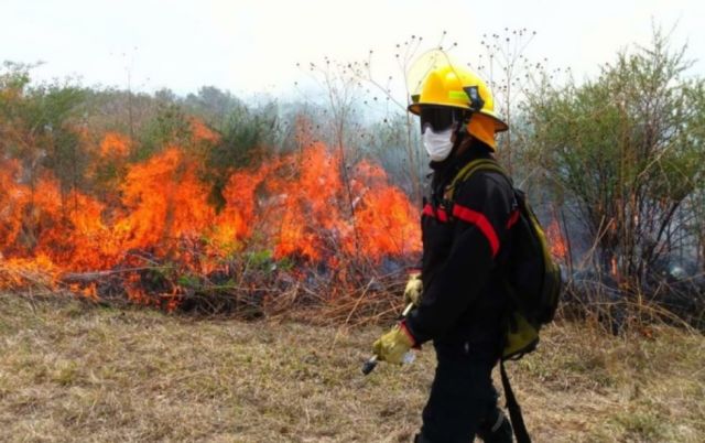 Bomberos reportan incendio forestal  en San Pedro de Sola de Tarija 