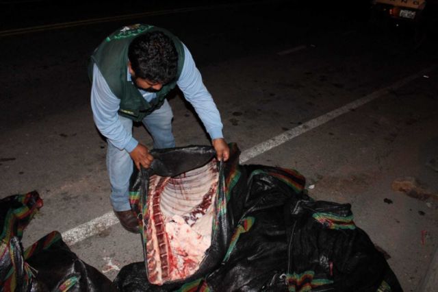 Senasag decomisó más de dos toneladas de carne en Tarija 