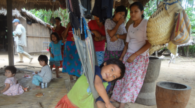 Informe a un Comité de la ONU visibilizará la discriminación racial y violencia contra el pueblo Tsimane