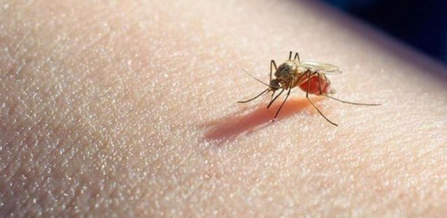La OMS recomienda por primera vez en la historia una vacuna contra la malaria
