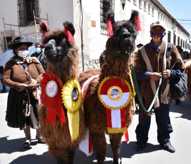 Con derivados, Tarija destacó en la Feria Nacional de Camélidos