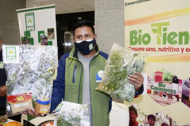 Tarija: En 9 meses unas 3 mil personas con Covid optaron por la medicina natural