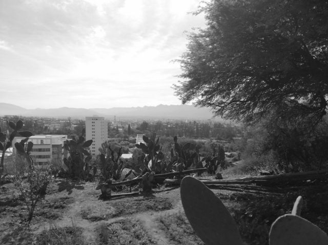 Paisajes de Tarija